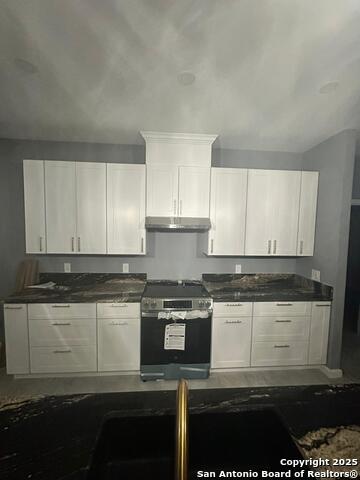 Image 3 of 16 For 48 Grey Fox  