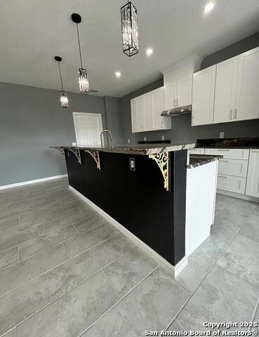 Image 5 of 16 For 48 Grey Fox  