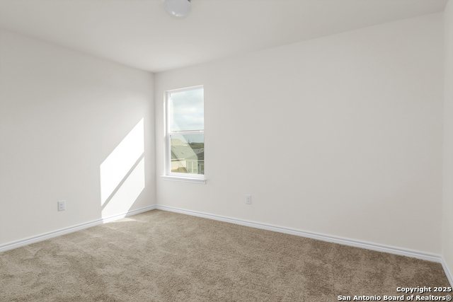 Image 11 of 14 For 14458 Ribbon Tail