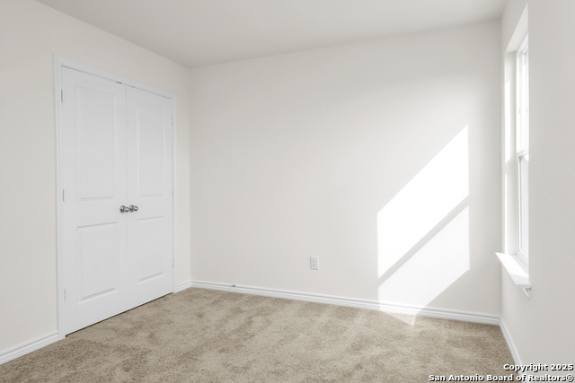 Image 12 of 14 For 14458 Ribbon Tail