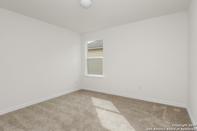 Image 13 of 14 For 14458 Ribbon Tail