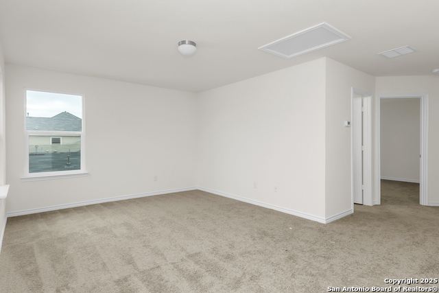 Image 5 of 14 For 14458 Ribbon Tail