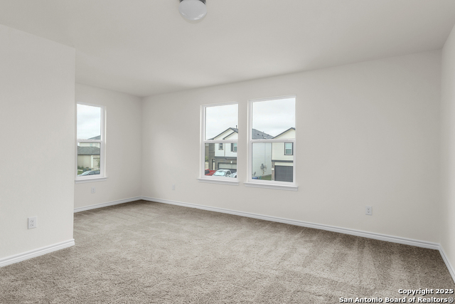 Image 7 of 14 For 14458 Ribbon Tail