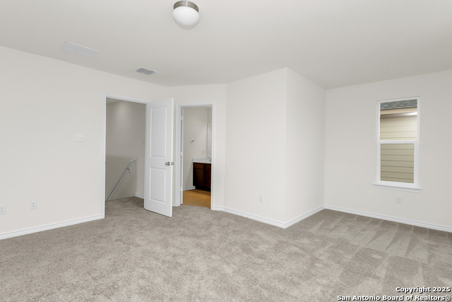 Image 8 of 14 For 14458 Ribbon Tail