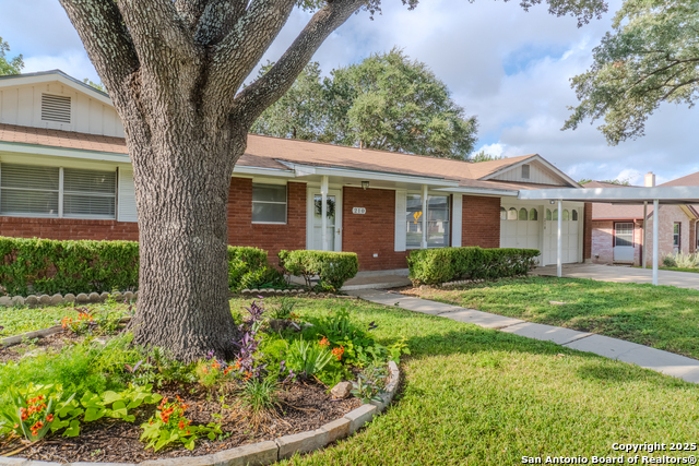 Listing photo id 1 for 210 Downshire