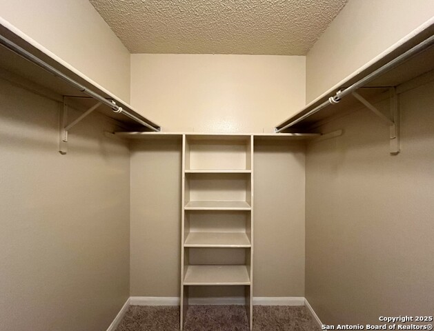Image 22 of 36 For 4839 Brandeis St  121