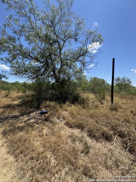 Image 3 of 8 For 404 Avenue J