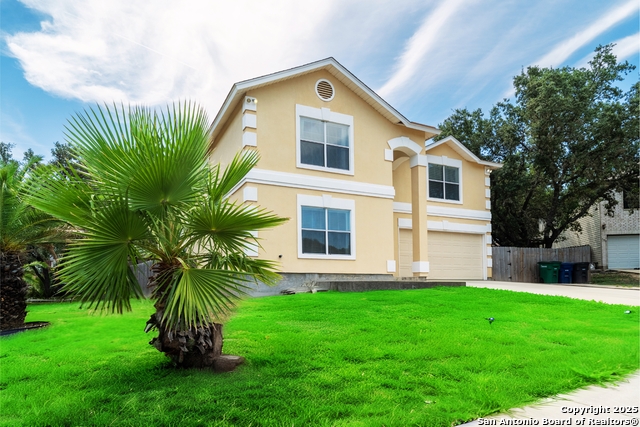 Image 3 of 31 For 9206 Dancove