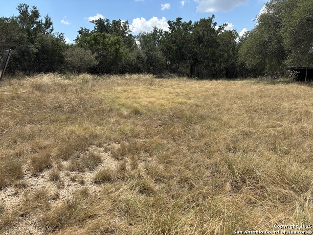 Image 10 of 14 For 112 Ulmus