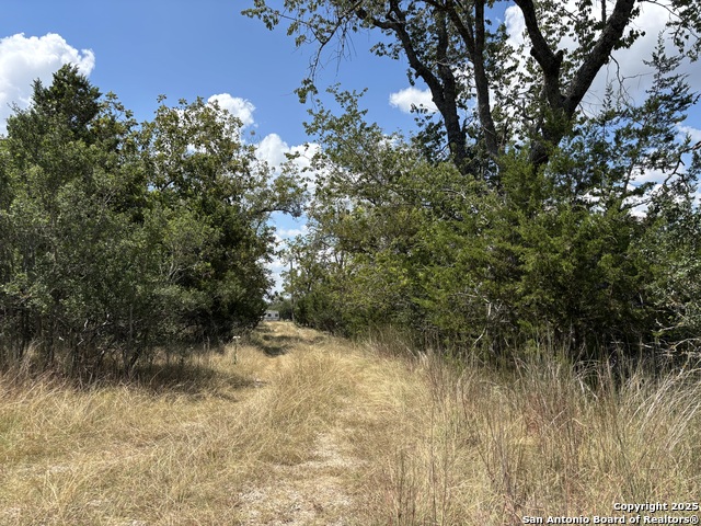 Image 11 of 14 For 112 Ulmus