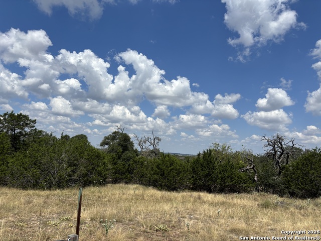 Image 9 of 14 For 112 Ulmus