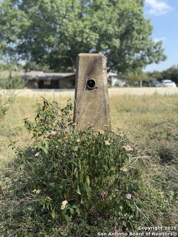 Image 12 of 12 For 6692 Kings Crown