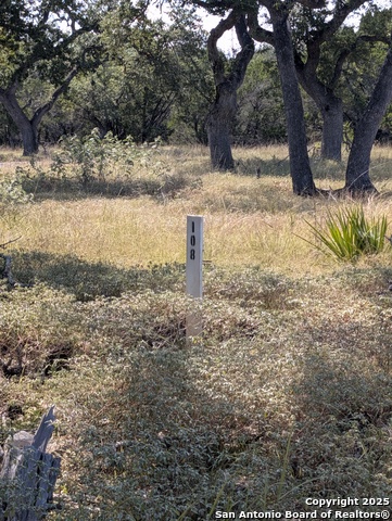 Details for 278 Restlesswind, Spring Branch, TX 78070