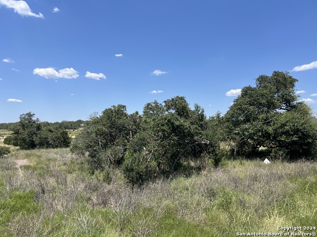 Image 4 of 6 For 34717 Carries Creek