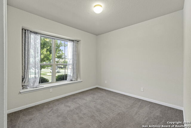 Image 15 of 37 For 4696 Grey Sotol