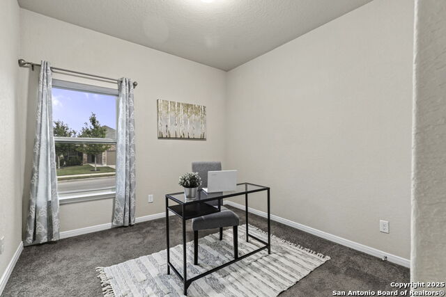 Image 16 of 37 For 4696 Grey Sotol