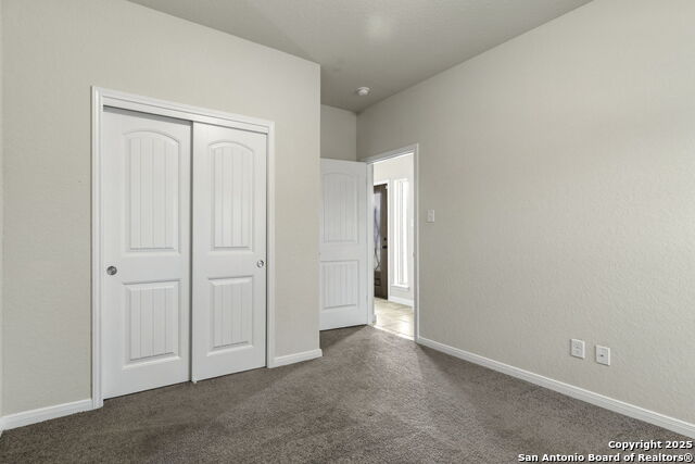 Image 17 of 37 For 4696 Grey Sotol