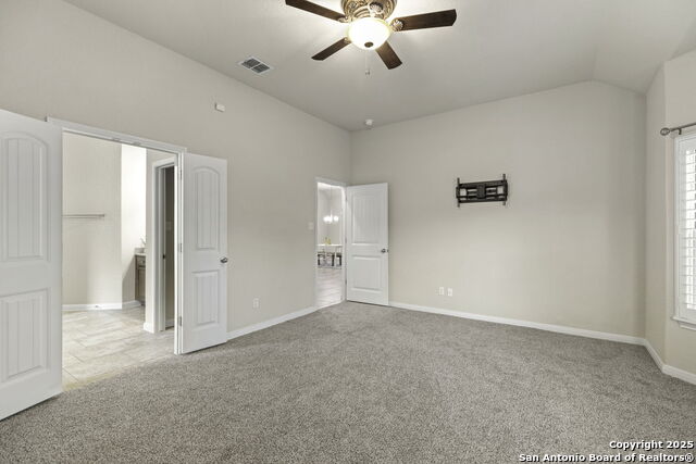 Image 20 of 37 For 4696 Grey Sotol