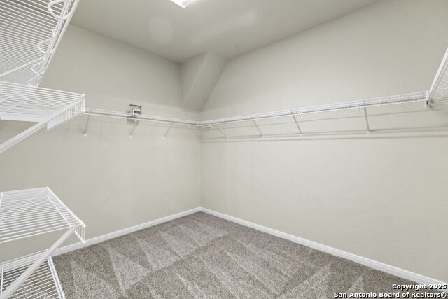 Image 24 of 37 For 4696 Grey Sotol