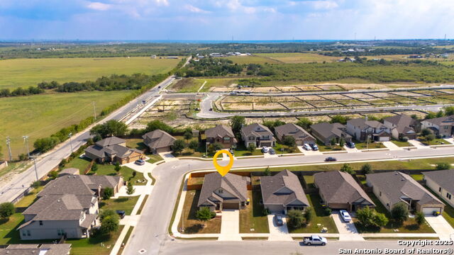 Image 25 of 37 For 4696 Grey Sotol