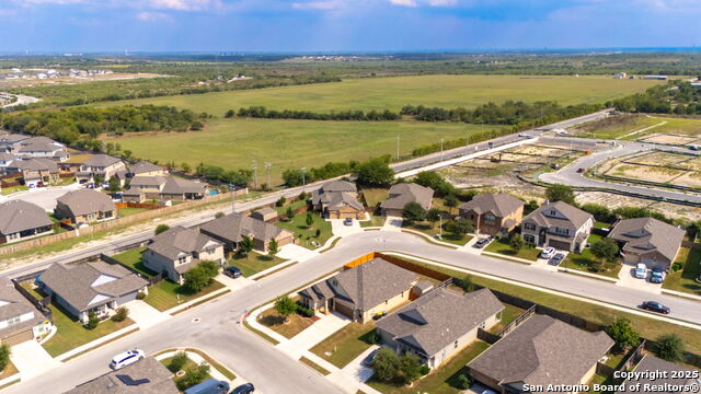 Image 28 of 37 For 4696 Grey Sotol