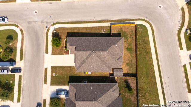 Image 29 of 37 For 4696 Grey Sotol