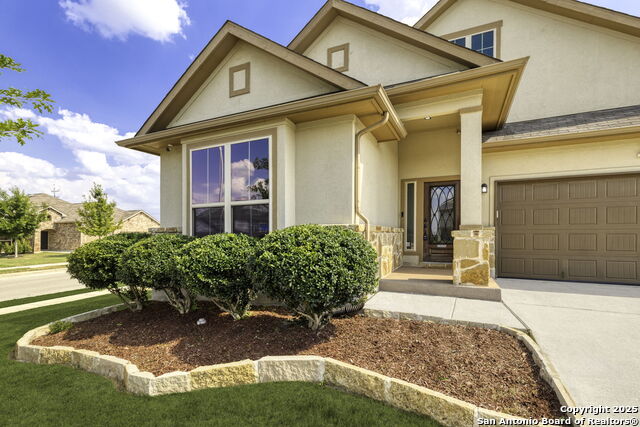 Image 3 of 37 For 4696 Grey Sotol