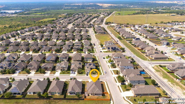 Image 30 of 37 For 4696 Grey Sotol