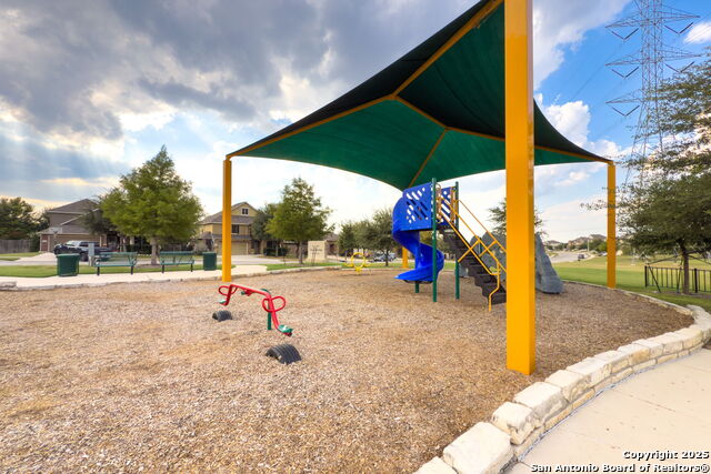 Image 31 of 37 For 4696 Grey Sotol