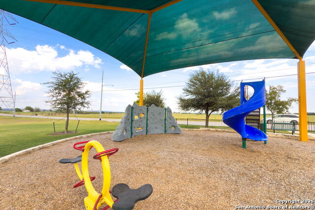 Image 33 of 37 For 4696 Grey Sotol