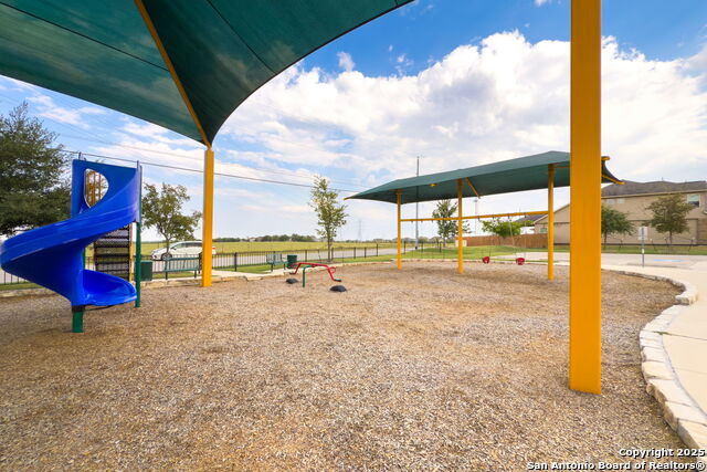 Image 34 of 37 For 4696 Grey Sotol