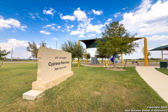 Image 35 of 37 For 4696 Grey Sotol