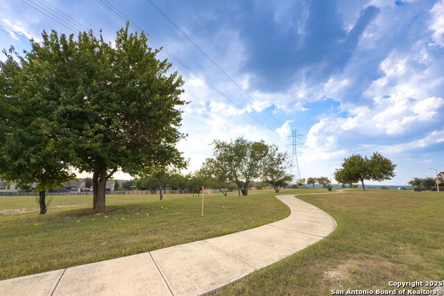 Image 36 of 37 For 4696 Grey Sotol