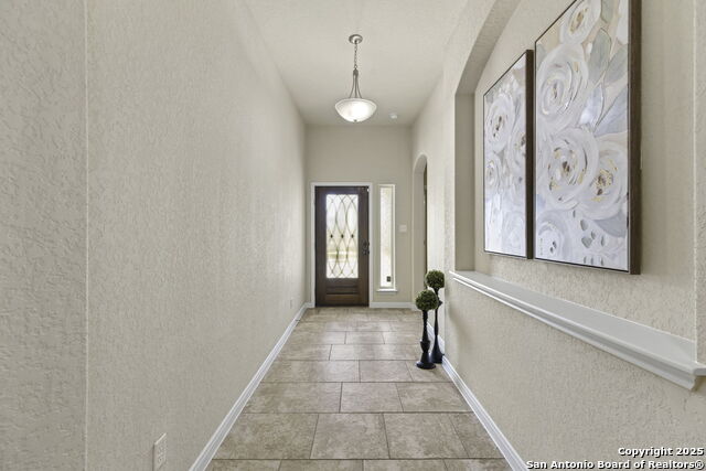 Image 4 of 37 For 4696 Grey Sotol