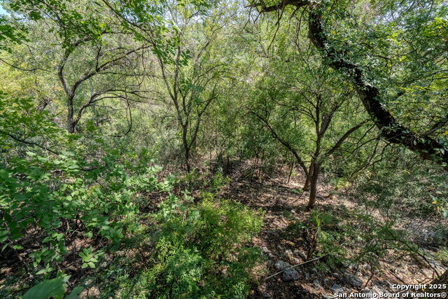 Image 36 of 46 For 3161 Tanglewood Trl