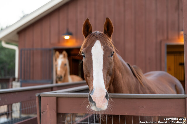 Image 85 of 93 For 1043 Twin River
