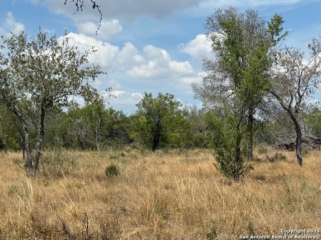 Image 3 of 8 For 780 Cr 315  