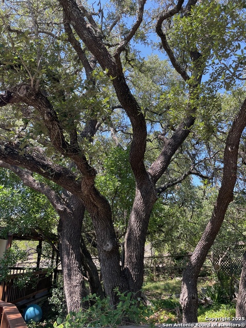 Image 11 of 41 For 235 Scenic Pass