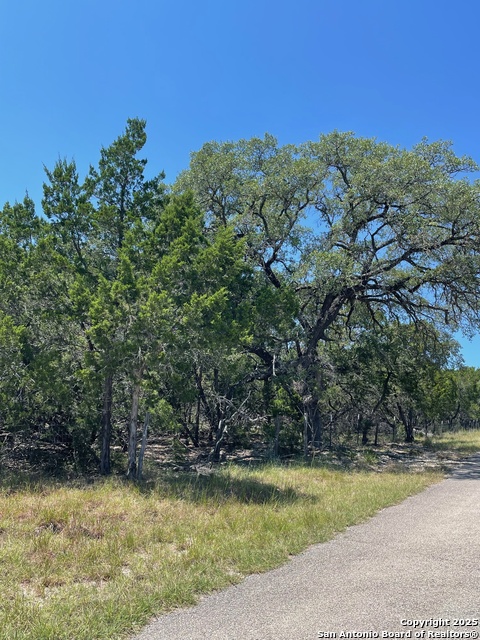 Image 17 of 41 For 235 Scenic Pass