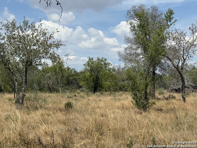 Image 7 of 15 For 728 Cr 315  