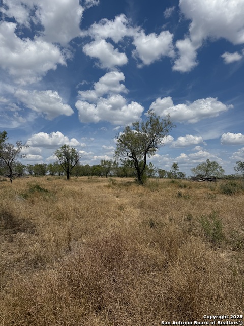 Image 8 of 15 For 728 Cr 315  