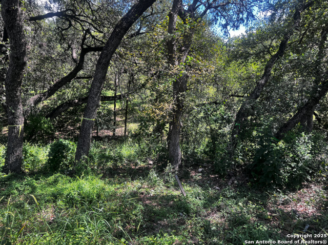 Details for 12200 Rustic Ln., San Antonio, TX 78230