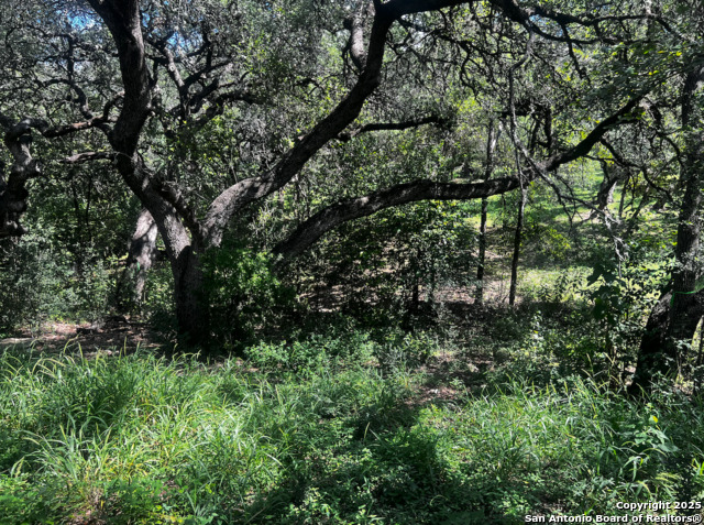 Image 4 of 7 For 12200 Rustic Ln.