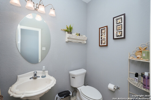 Image 24 of 29 For 1202 Scenic Knls