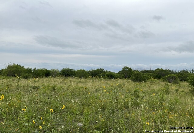 Image 4 of 5 For 14895 Wheeler