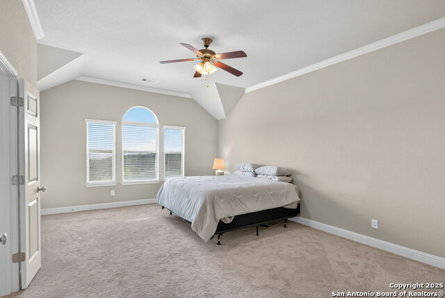 Image 14 of 40 For 8250 Cruiseship Bay 702