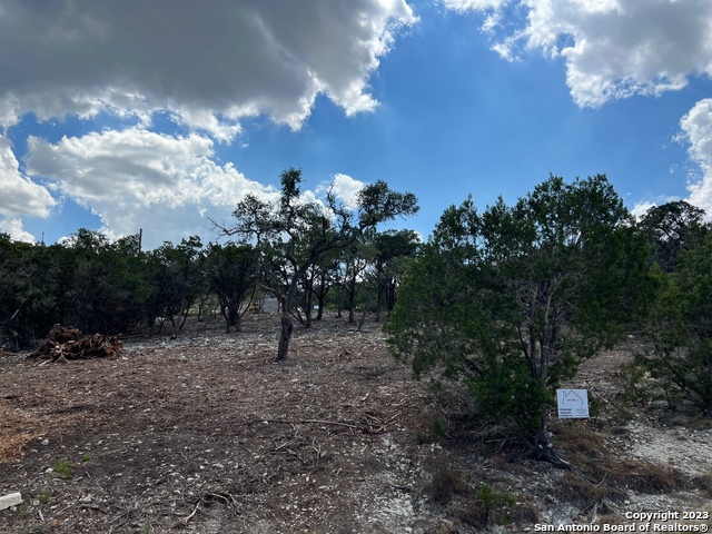 Details for 320 Lexington Pass, Canyon Lake, TX 78133