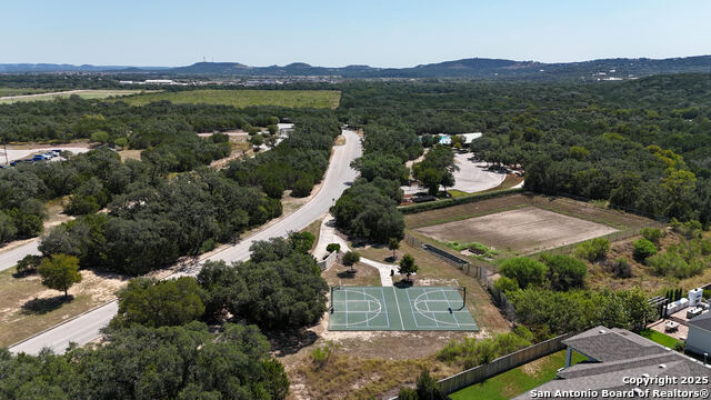 Image 43 of 46 For 1903 Roaring