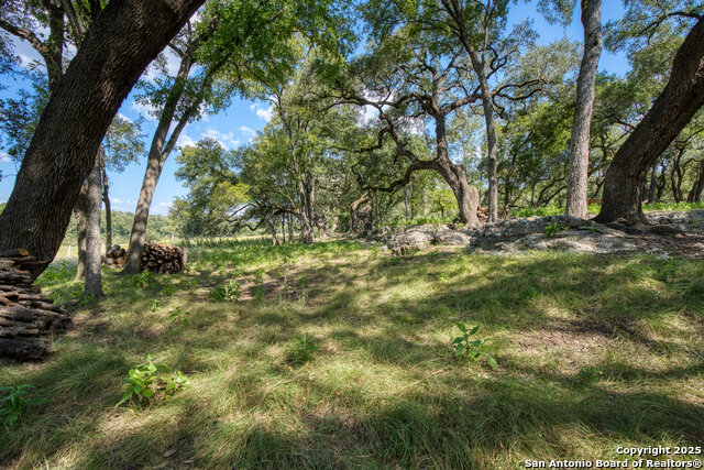 Image 54 of 65 For 179 Riverwood