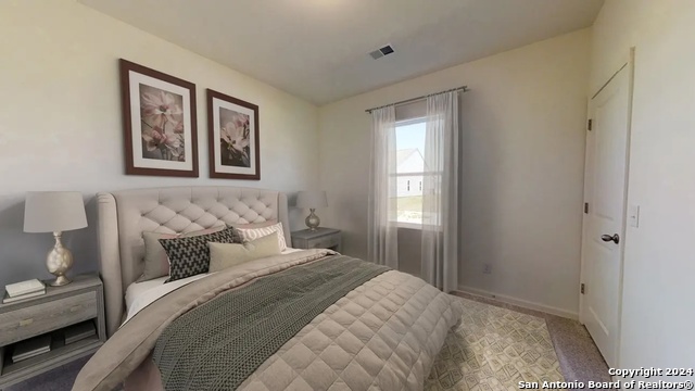 Image 9 of 12 For 10536 Lesser Snow